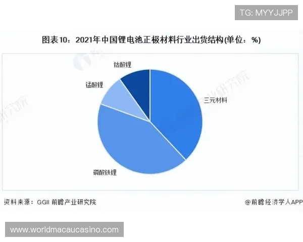 皇冠澳门域名在国际市场中的竞争优势与发展前景